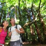 Redwood Retreat: Tour to Muir Woods From San Francisco - Tour Details