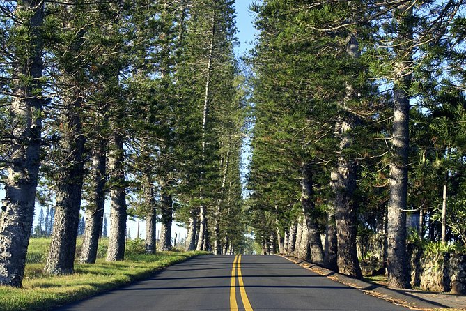 Road to Hana Adventure Tour – Best Tour on Maui