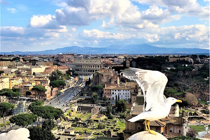 Rome Top Sites in 1 Day WOW Tour: Luxury Car, Tickets & Lunch - Tour Highlights