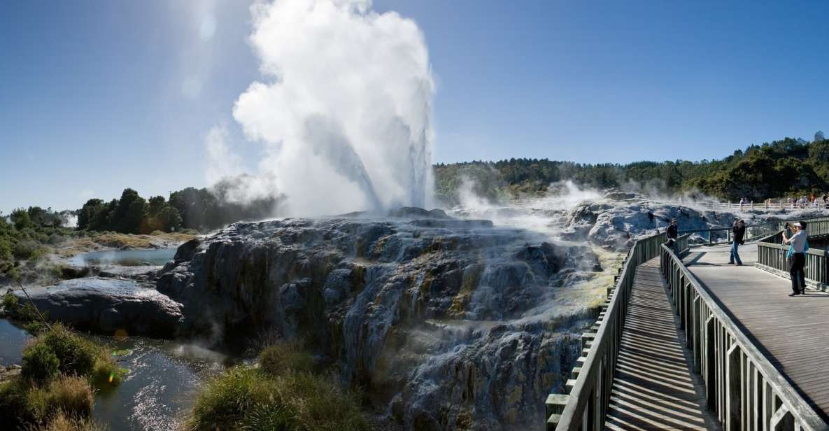 Rotorua: Te Puia Geothermal Valley Guided Tour With Tickets