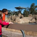 San Diego Zoo -Day Pass: Any Day Ticket - Zoo Experience