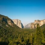 San Francisco: Day Trip to Yosemite With Giant Sequoias Hike - Overview of the Day Trip
