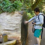 San Francisco: Muir Woods, Sausalito, and Wine Country Tour - Tour Overview