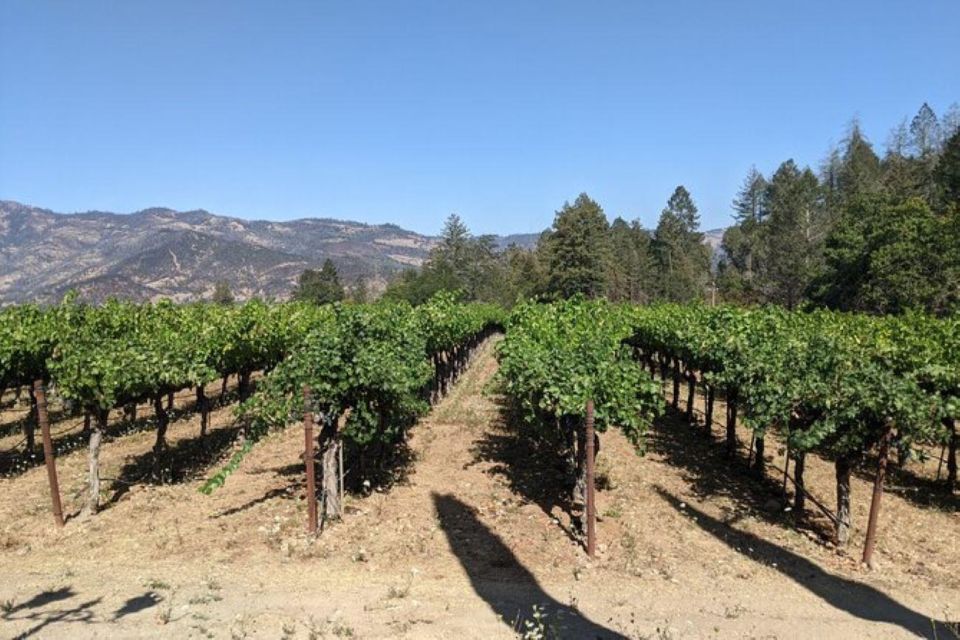 San Francisco: Napa and Sonoma Valley Private Wine Tour - Tour Details
