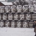 Sapporo: Private Customized Guided Tour - Tour Highlights