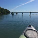 Sarasota Guided Mangrove Tunnel Kayak Tour - Tour Inclusions