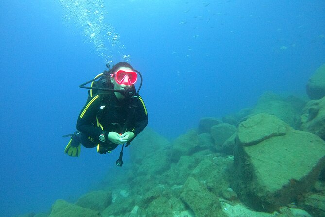 Scuba Dive for Beginners in a Turtle Area in Costa Adeje - Scuba Dive and Snorkel Excursion Overview
