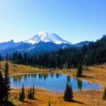 Seattle All-Inclusive: Hike Mt. Rainier and Wine Tasting - Tour Overview