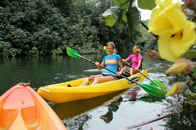 Secret Falls Kayak Hike in Kauai - Tour Details