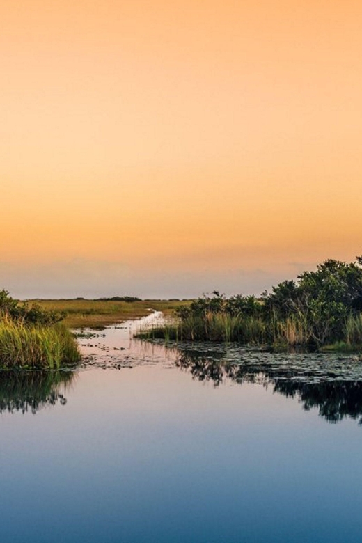 Semi-Private Everglades Tour From Miami or Fort Lauderdale - Tour Details