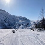 Seward: Kenai Fjords National Park Guided Snowmobiling Tour - Tour Overview