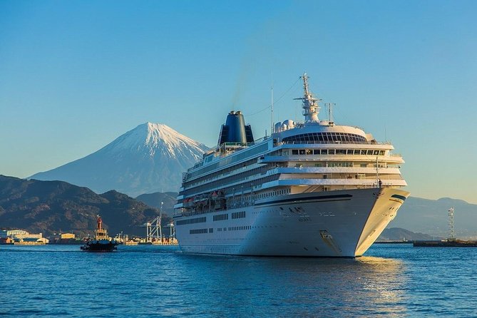 Sightseeing Around Shimizu Port for Cruise Ship Passengers - Meeting and Pickup