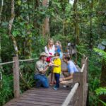 Skyrail Rainforest Cableway Round-Trip Experience - Experience Details