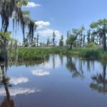 Small-Group Airboat Swamp Tour With Downtown New Orleans Pickup - Professional Guided Experience
