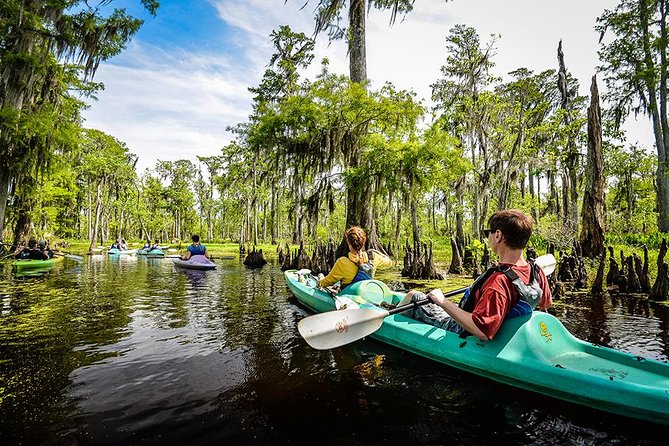 Small-Group Manchac Swamp Kayak Tour With Local Guide