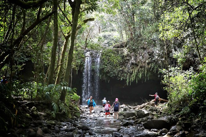 Small Group Waterfall and Rainforest Hiking Adventure on Maui - Tour Highlights
