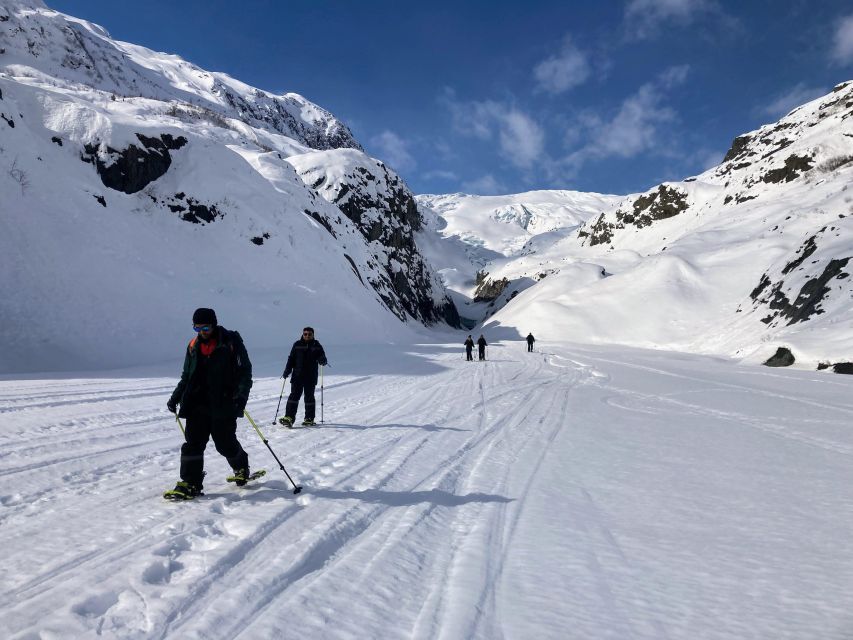 Snowmobile and Snowshoe Dual Adventure From Seward, AK - Tour Details