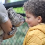 Somersby: Australian Reptile Park Day Pass - am to pm - Ticket Pricing and Cancellation Policy