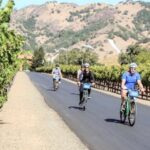 Sonoma County: Wine Tasting and Biking in Healdsburg - Overview of the Tour