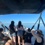 St Petersburg, FL: Hour Islands Hopping Eco Tour - Marine Life Exploration