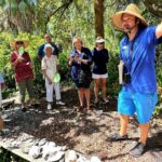 St. Petersburg Jungle Prada Site History Tour - Historical Insights