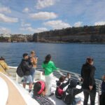 Sydney: -Hour Whale Watching Tour by Catamaran - Tour Overview