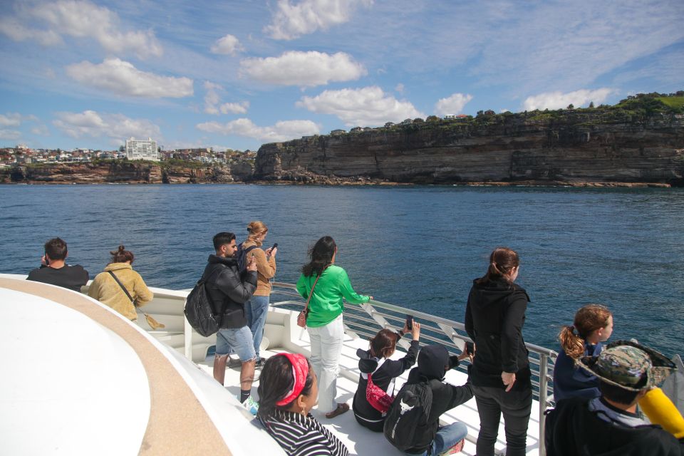 Sydney: 3-Hour Whale Watching Tour by Catamaran - Tour Overview
