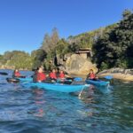 Sydney: Guided Kayak Tour of Manly Cove Beaches - Tour Details