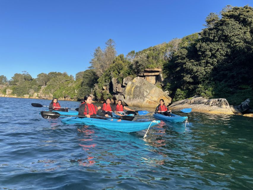 Sydney: Guided Kayak Tour of Manly Cove Beaches - Tour Details