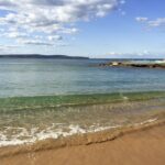 Sydney: Northern Beaches and Ku-ring-gai National Park Tour - Tour Details