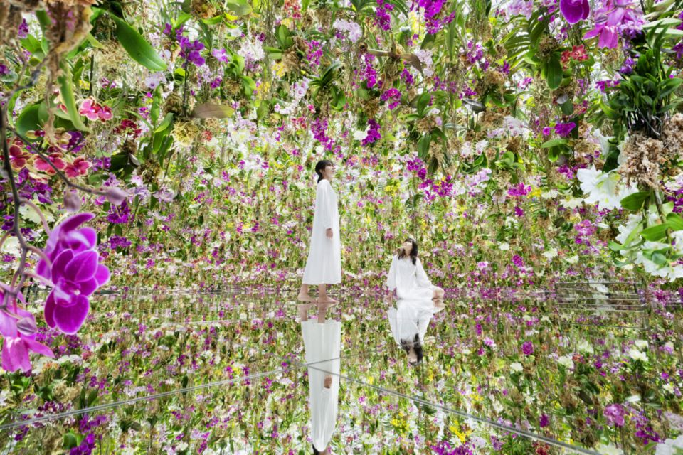 Teamlab Planets Tokyo: Digital Art Museum Entrance Ticket - Overview of Teamlab Planets TOKYO