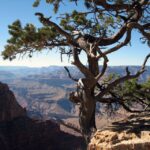 The Grand Canyon Classic Tour From Sedona, AZ - Duration and Departure
