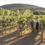 The Original Winery Tour With Charcuterie - Inclusions and Experiences