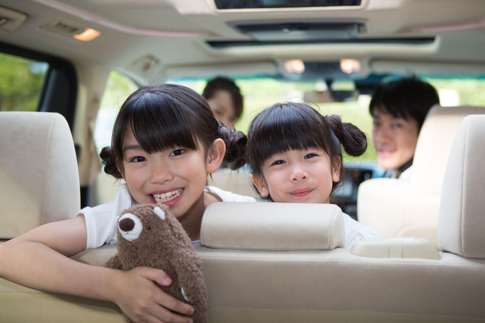 Tokyo, Fuji, Hakone, Kamakura: Private Guide & Car Full-Day Trip