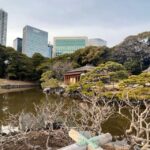 Tokyo : Japanese Garden Guided Walking Tour in Hama Rikyu - Overview of the Tour