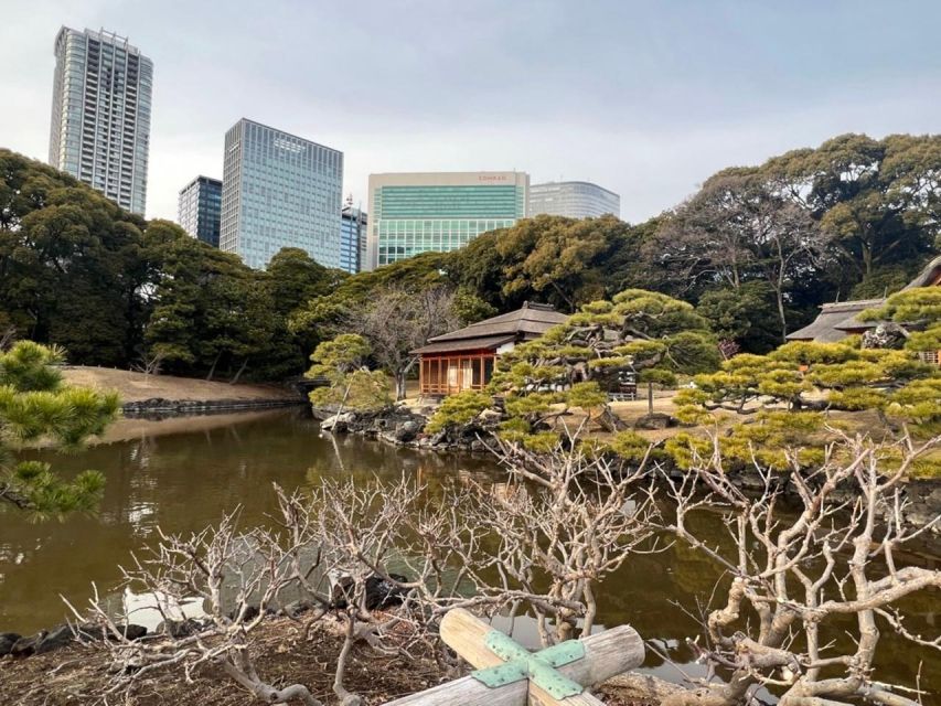 Tokyo : Japanese Garden Guided Walking Tour in Hama Rikyu