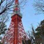 Tokyo: Private City Tour With Hotel Pickup and Drop-Off - Tour Highlights