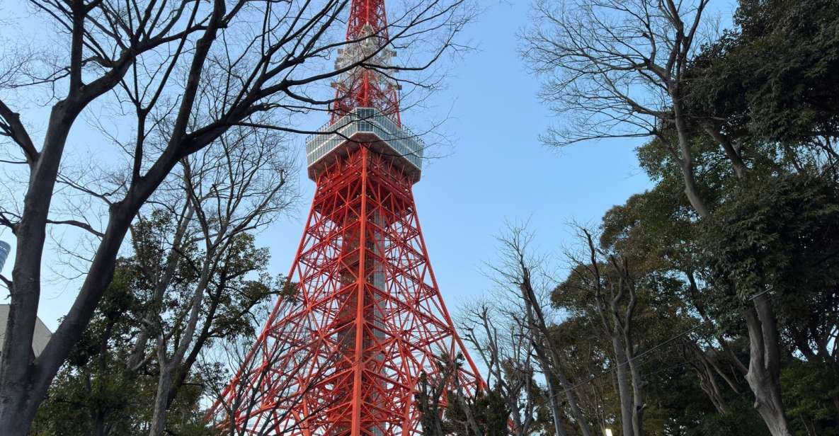 Tokyo: Private City Tour With Hotel Pickup and Drop-Off