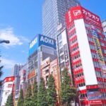 Tokyo: Private Full-Day Tour With Hotel Pickup - Tour Overview