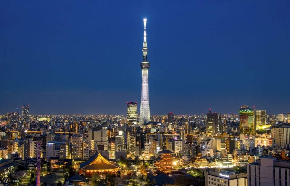 Tokyo Private Sightseeing Customized Day Tour by Car and Van - Tour Details