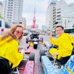 Tokyo: Shibuya Crossing, Harajuku, Tokyo Tower Go Kart Tour - Overview of the Unique Go-Kart Tour