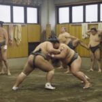 Tokyo: Sumo Morning Practice Viewing Tour - Tour Details