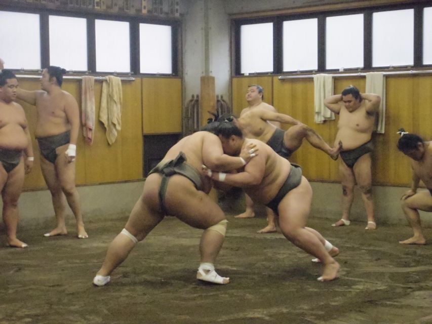 Tokyo: Sumo Morning Practice Viewing Tour - Tour Details