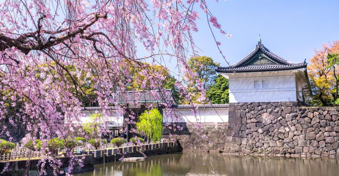 Tokyo: Tokyo Imperial Palace History Private Walking Tour