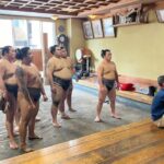 Tokyo: Visit Sumo Morning Practice With English Guide - Overview of Sumo Wrestling