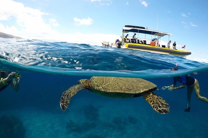 Ultimate 4 Hour Lani Snorkel and Dolphin Encounter - Tour Highlights