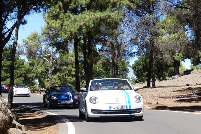 Vw Beetle Convertible Island Tour Discover the Island on a Different Way - Explore Gran Canarias Unique Landscapes