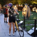 Washington DC Sites at Night Guided Bicycle Tour - Tour Overview
