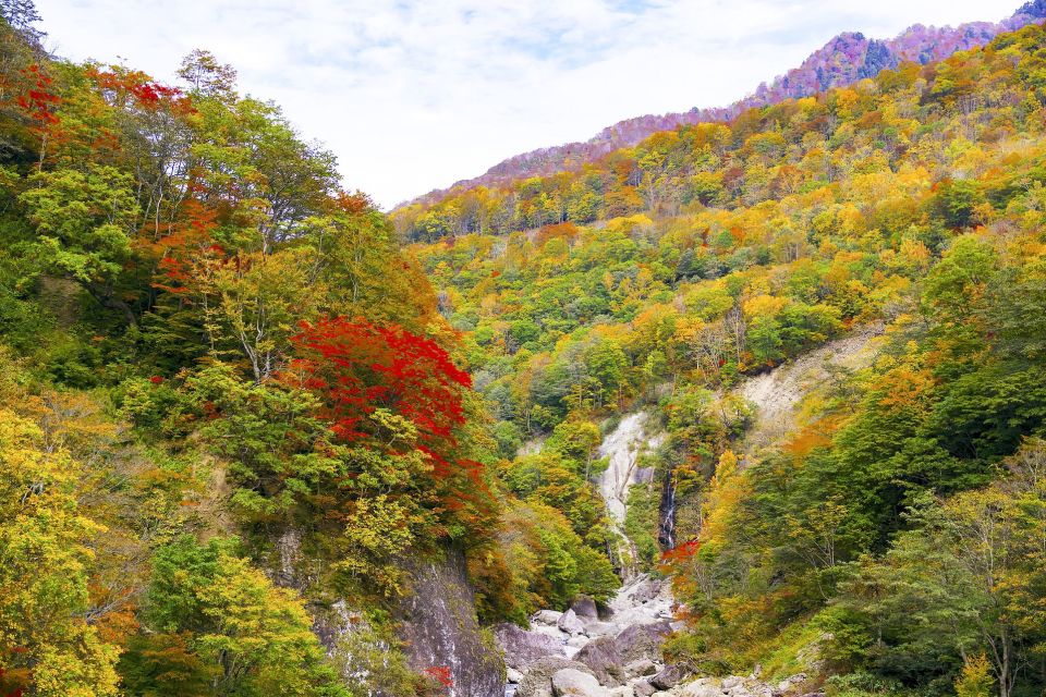 Welcome to Nagano: Private Tour With a Local - Tour Duration and Highlights