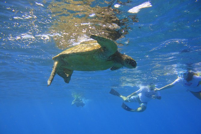 West Maui Snorkeling Experience by Boat From Kaanapali